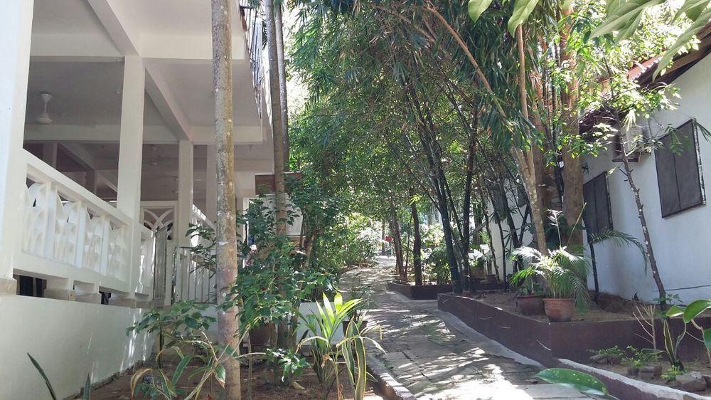 Perhentian Tropicana Inn Pulau Perhentian Kecil Exterior foto